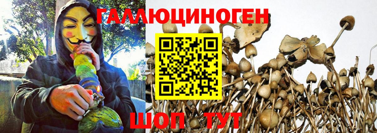 Искитим  Галлюциногенные грибы MAGIC MUSHROOMS  Вход с VPN  Псилоцибиновые грибы Psilocybe 